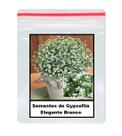 50 Sementes de Gypsofila Elegante Branco