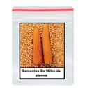 50 Sementes De Milho de pipoca