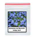 50 Sementes de Myosotis Indigo Azul