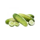 50 Sementes de Pepino Caipira
