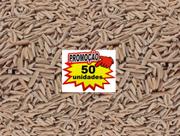 50 Sementes De Rosa Do Deserto Cores Sortidas