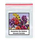 50 Sementes De Statice Sinuata Sortida