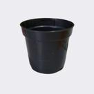 50 Vaso mini 06 Ideal Para Mini Violetas e Mini Suculentas Preto
