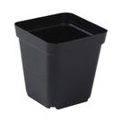 50 Vasos Quadrados De Plástico Para Mudas, Copos Profundos Para Plantio, Recipientes Para Viveiro De