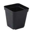 50 Vasos Quadrados De Plástico Para Mudas, Copos Profundos Para Plantio, Recipientes Para Viveiro De