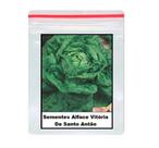 500 Sementes De alface vitória de santo antão