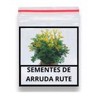 500 sementes de arruda ruta de cheiro forte