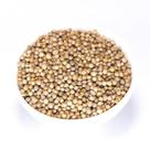 500gr Coentro Em Grãos - Qualidade Premium