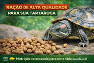 500gr Ração 5mm para Tartarugas Répteis e Peixes Filhotes