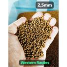500GR RAÇÃO PARA TARTARUGAS, RÉPTEIS E PEIXES DE 2,5mm e 5mm A GRANEL.