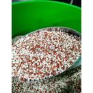 5KG Adubo NPK para Floração, Frutificação, Enraizamento, Caule 20/05/20