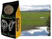 5kg de Brachiraria Humidicola Quicuio ótima para pastagem e para solos com excesso de humidade