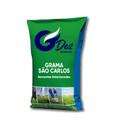 5KG Semente De Grama São Carlos (melhorada)