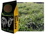 5kg Sementes de capim Tanzãnia para pastagem excelente para Caprinos /Equinos /Bovinos