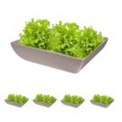 5un Saladeira Quadrada 2,9 Lt Travessa Petisqueira Cinza