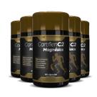 5x CARTFLEN C2 5 TIPOS DE MAGNÉSIOS 60CAPS HF SUPLEMENTOS