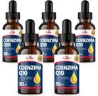 5x Coenzima Q10 (Ubiquinona) em Gotas Sabor Menta 30ml Celliv