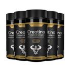 5x creatina monohidrata 3g pure 120caps 1550mg hf suplements