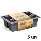 5X Sementeira Mini Hortinha Caseira (6 Células) NUTRIPLAN 5X Sementeira Mini Hortinha Caseira (6 Células) NUTRIPLAN