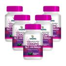 5x Suplemento Colágeno Tipo 2 c/ Ácido Hialurônico 60 Caps 500mg 5x Suplemento Colágeno Tipo 2 c/ Ácido Hialurônico 60 Caps 500mg