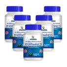 5x Suplemento Polivitamínico Vitaminas e Minerais 60 Caps 500mg