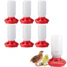 6 Comedouro 1kg Criação Frango Pintos Codornas Protetor Ração