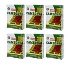 6 Erva Mate Chimarrão CAMBONA VÁCUO sem glúten 1 kg