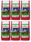 6 Erva mate Chimarrão MADRUGADA TRADICIONAL Sem Glúten 1 kg 6 Erva mate Chimarrão MADRUGADA TRADICIONAL Sem Glúten 1 kg