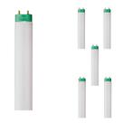 6 Lâmpadas Philips T8 16w Tubular Fluor. 4000k S84 Bivolt