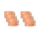 6 Máscara Nutri-Enrich 150ml e Oil Reflections 30ml Wella 6 Máscara Nutri-Enrich 150ml e Oil Reflections 30ml Wella