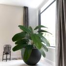 6 Mini Arbustos Plantas Artificiais com Folhas Largas em Silicone Decoração com Folhagens de Luxo - DE0124