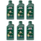6 Oleo Motor Castrol Magnatec 10w30 Semi-sintético 1lt