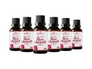 6 Oleo Vegetal Rosa Mosqueta 30ml