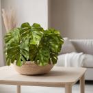 6 Plantas Artificiais Costela de Adão 65cm Linha Premium em Silicone Realista Decoração de Mesas e Floreiras - DE1625