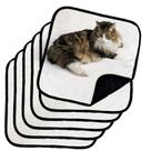 6 Tapetinhos Macios para Dormir Pet Antipulgas 200 Lavagens 45x45 Branco com Borda Preta 6 Tapetinhos Macios para Dormir Pet Antipulgas 200 Lavagens 45x45 Branco com Borda Preta