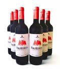 6 Vinhos Tintos Secos Portugueses Pauliteiros 750ml