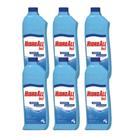 6 X Algicida Manutenção 1 L Hidroall Piscinas