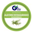 60 Sementes De Alecrim Rosmarinho Rosmarinus