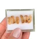 6ø Topázio Imperial Bruto Canudo Coleção 20,95ct / 4,19gr
