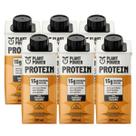 6x Bebida Vegetal 15g Protein Plant Power Caramelo Salgado 250ml