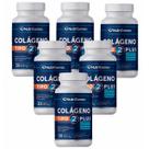 6x Colágeno Tipo2 Plus + Vit D 3 + Vit K2 + Magnésio