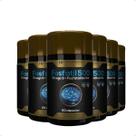 6x fosfatil 500 omega 3 + fosfatidilserina 60caps hf suplementos
