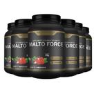 6x MALTO FORCE MALTODEXTRINA C/ VITAMINA C 1KG HF SUPLEMENTS