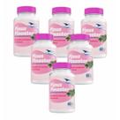 6x Pinus Pinaster - 60 Cápsulas- Global Suplementos
