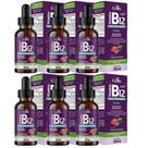6x Vitamina B12 em Gotas Sabor Frutas Vermelhas 30ml Celliv