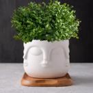 7 maços de mini eucalipto 6 hastes em cada planta artificial para guirlanda e projetos de artesanato - DE0324 7 maços de mini eucalipto 6 hastes em cada planta artificial para guirlanda e projetos de artesanato - DE0324