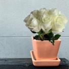 7 Rosas Permanentes Branca com Haste de (58cm) e Folhagens Verdes para Arranjos Sofisticados - DE2423