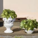 7 Unidades de Buquê de Singônio Artificial com Folhagens Vivas para Decoração Moderna e Sofisticada - DE0725 7 Unidades de Buquê de Singônio Artificial com Folhagens Vivas para Decoração Moderna e Sofisticada - DE0725