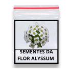 70 Sementes de Alyssum Odorante Tapete De Neve