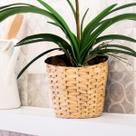8 Galhos Longos de Folhas de Orquídeas Cymbidium Artificiais em Silicone para Decoração Elegante DE3224